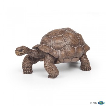 ANIMAL PAPO TORTUGA GALAPAGOS