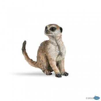 ANIMAL PAPO SURICATA SENTADO