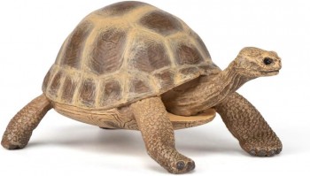 ANIMAL PAPO TORTUGA DE HERMANN 50264