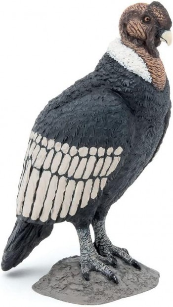 ANIMAL PAPO CONDOR 50293