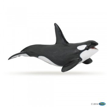 ANIMAL PAPO ORCA