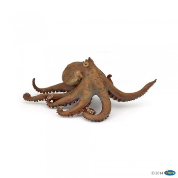 ANIMAL PAPO PULPO