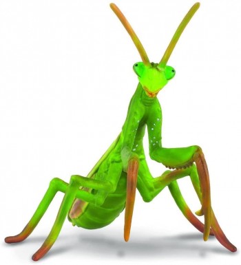 ANIMAL COLLECTA MANTIS RELIGIOSA 88351