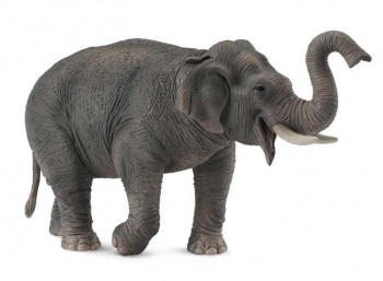 ANIMAL COLLECTA ELEFANTE ASIATICO REF 88486