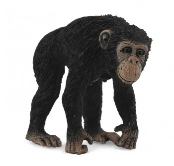 ANIMAL COLLECTA CHIMPANCE REF-90188493