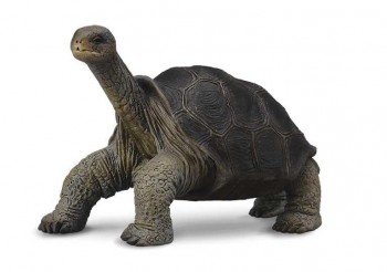 ANIMAL COLLECTA TORTUGA GIGANTE DE PINTA M 90188619