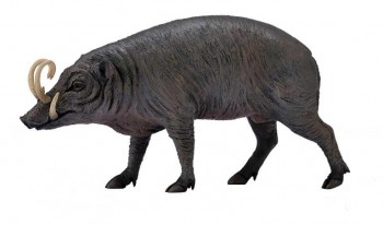 ANIMAL COLLECTA BABIRRUSA 90188727