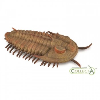 ANIMAL COLLECTA TRILOBITA 88906