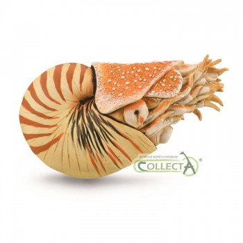 ANIMAL COLLECTA NAUTILUS POMPILUS XL 88907