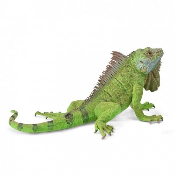 ANIMAL COLLECTA IGUANA 88965