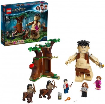 LEGO HARRY POTTER BOSQUE PROHIBIDO 75967