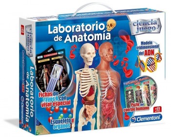 LABORATORIO DE ANATOMIA CLEMENTONI